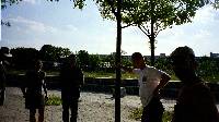 Gorillas_im_Gegenlicht